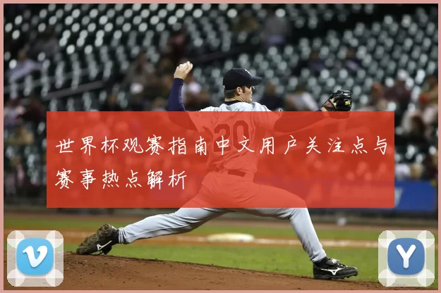世界杯观赛指南中文用户关注点与赛事热点解析