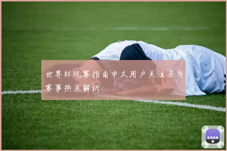 世界杯观赛指南中文用户关注点与赛事热点解析