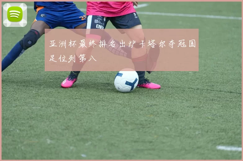 亚洲杯最终排名出炉卡塔尔夺冠国足位列第八